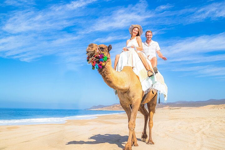Profitez d'une balade à dos de chameau sur la plage à Cabo San Lucas, Mexique, avec de superbes vues sur l'océan, photo 11 | wizardtrip