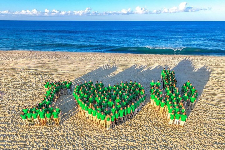 Profitez d'une balade à dos de chameau sur la plage à Cabo San Lucas, Mexique, avec de superbes vues sur l'océan, photo 15 | wizardtrip