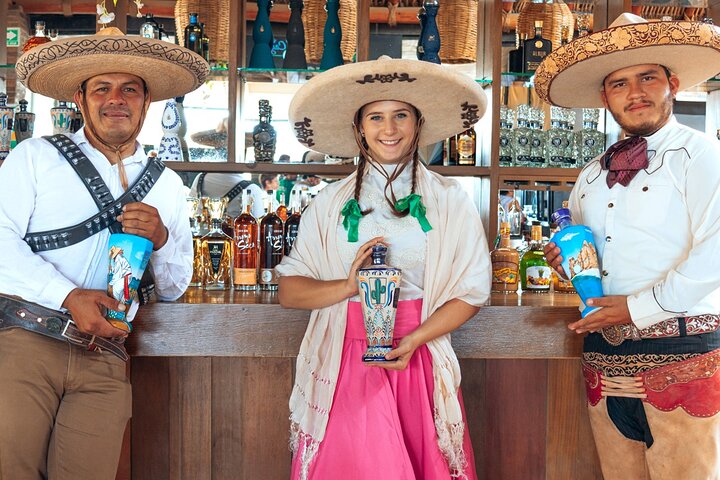 Profitez d'une balade à dos de chameau sur la plage à Cabo San Lucas, Mexique, avec de superbes vues sur l'océan, photo 16 | wizardtrip