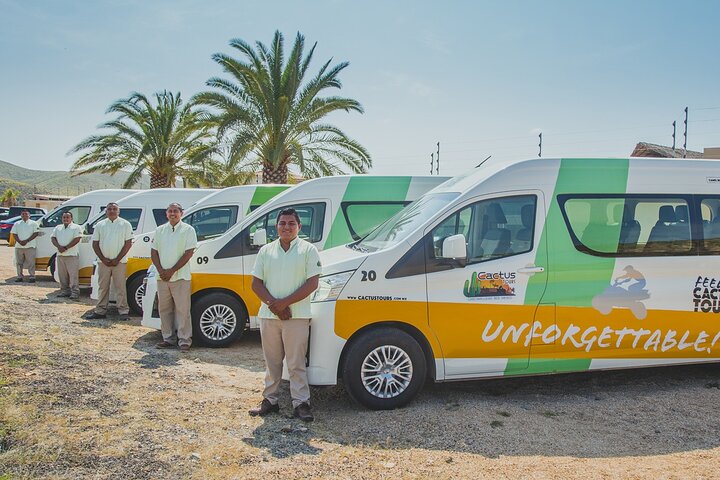 Profitez d'une balade à dos de chameau sur la plage à Cabo San Lucas, Mexique, avec de superbes vues sur l'océan, photo 18 | wizardtrip