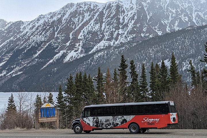 Upplev Skagway's fantastiska landskap, från vyer från toppen till ett hundspannsläger och Yukon Suspension Bridge, foto 8 | wizardtrip