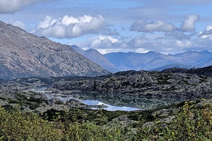 Upplev Skagway's fantastiska landskap, från vyer från toppen till ett hundspannsläger och Yukon Suspension Bridge, foto 10 | wizardtrip