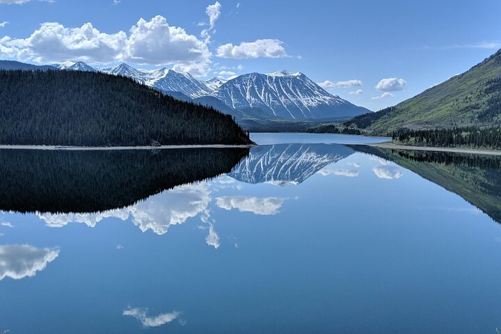 Wild Adventure Yukon Tour til Canada inkludert by og topp | wizardtrip
