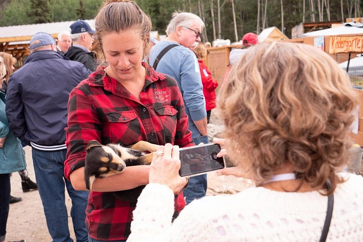 Naturskön Yukon-äventyrstur från Skagway till Kanada, med sjöar, berg och vilda djur, foto 12 | wizardtrip