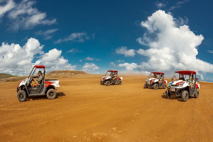 Aruba Off Road UTV Inseltour: Raue Küste & Kultur | wizardtrip