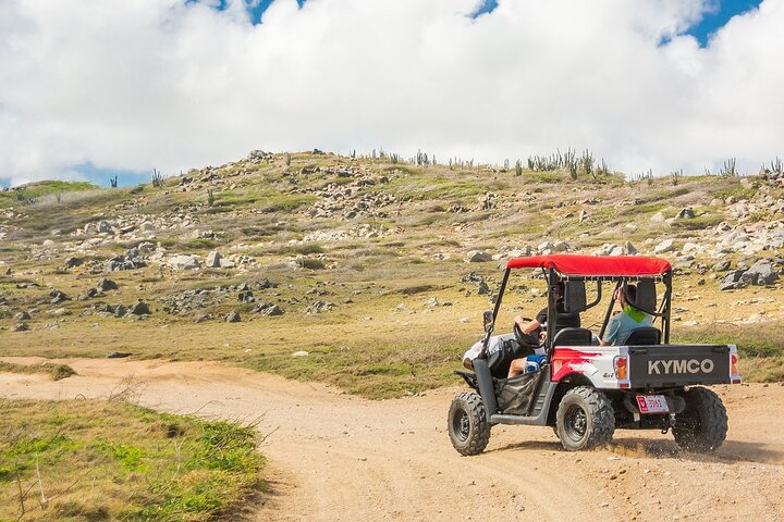 Verken het ruige terrein en de kustlijn van Aruba tijdens een spannende UTV-eilandtour, met bezoek aan bezienswaardigheden en stranden, foto 3 | wizardtrip