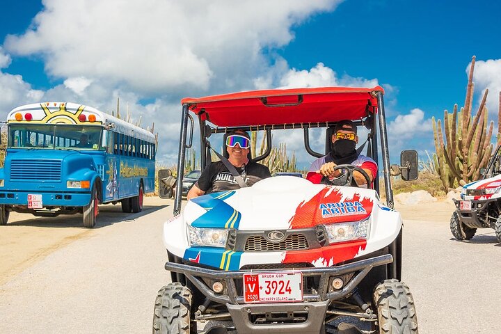 Verken het ruige terrein en de kustlijn van Aruba tijdens een spannende UTV-eilandtour, met bezoek aan bezienswaardigheden en stranden, foto 12 | wizardtrip