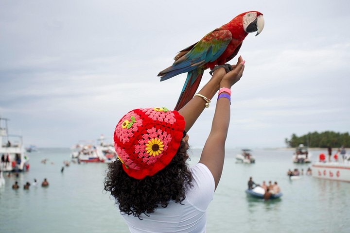 Cruzeiro de barco de festa com snorkel e bebidas em Punta Cana, República Dominicana, foto 20 | wizardtrip