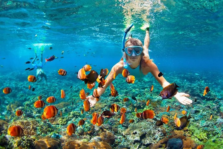 Cruzeiro de barco de festa com snorkel e bebidas em Punta Cana, República Dominicana, foto 28 | wizardtrip