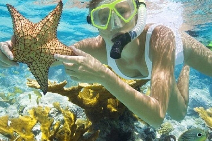 Cruzeiro de barco de festa com snorkel e bebidas em Punta Cana, República Dominicana, foto 31 | wizardtrip