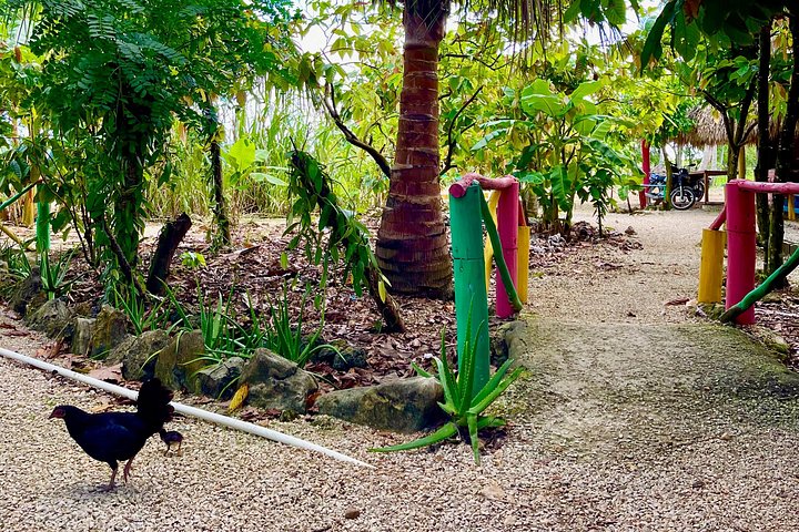 Udforsk Punta Canas landskaber på en 4x4 ATV, besøg gårde og Macao Beach, foto 38 | wizardtrip
