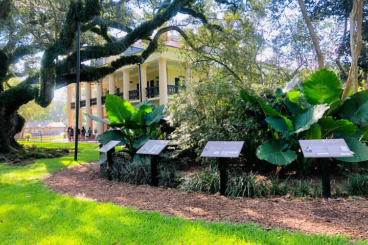 Eine malerische Bootsfahrt durch einen Sumpf in Louisiana und ein Besuch der historischen Oak Alley Plantation in der Nähe von New Orleans, Foto 7 | wizardtrip