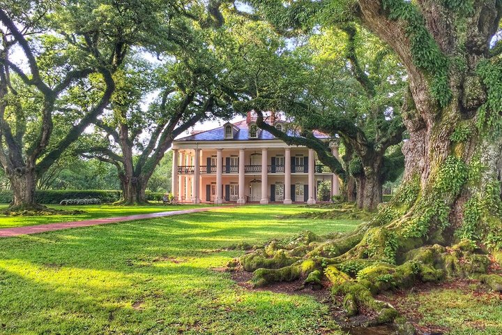 Eine malerische Bootsfahrt durch einen Sumpf in Louisiana und ein Besuch der historischen Oak Alley Plantation in der Nähe von New Orleans, Foto 12 | wizardtrip