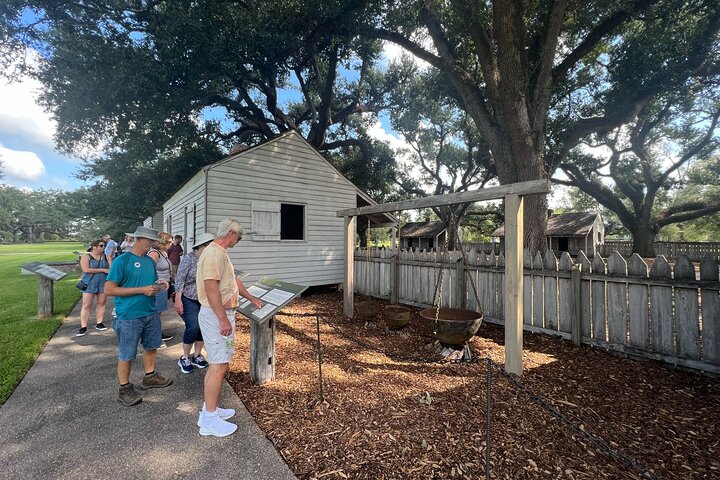 Eine malerische Bootsfahrt durch einen Sumpf in Louisiana und ein Besuch der historischen Oak Alley Plantation in der Nähe von New Orleans, Foto 15 | wizardtrip