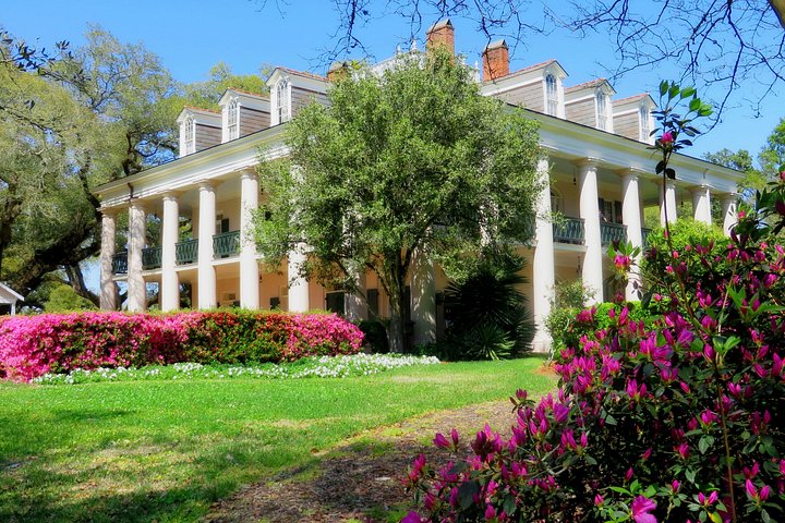 Eine malerische Bootsfahrt durch einen Sumpf in Louisiana und ein Besuch der historischen Oak Alley Plantation in der Nähe von New Orleans, Foto 16 | wizardtrip