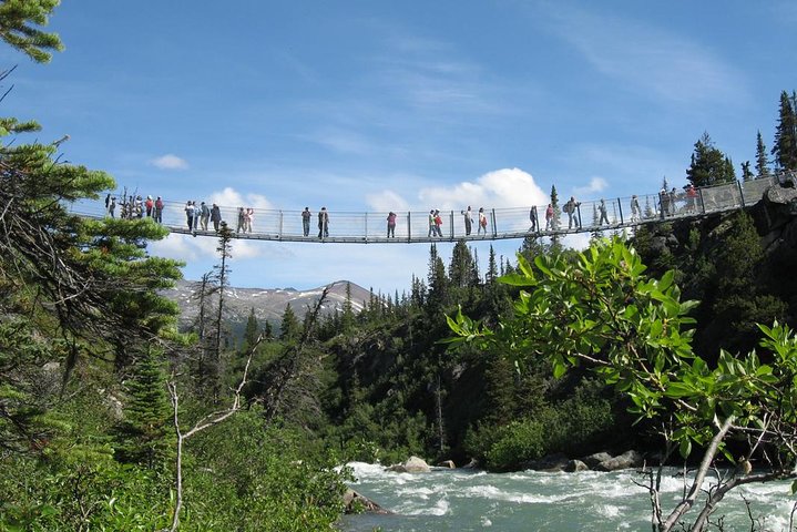 Yukon Suspension Bridge og Summit-tur | wizardtrip