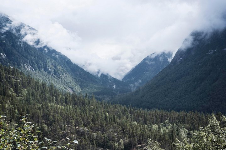 Naturskøn tur til White Pass Summit og Yukon Suspension Bridge fra Skagway, foto 6 | wizardtrip