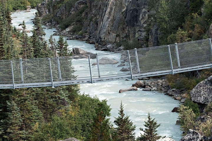 Naturskøn tur til White Pass Summit og Yukon Suspension Bridge fra Skagway, foto 8 | wizardtrip
