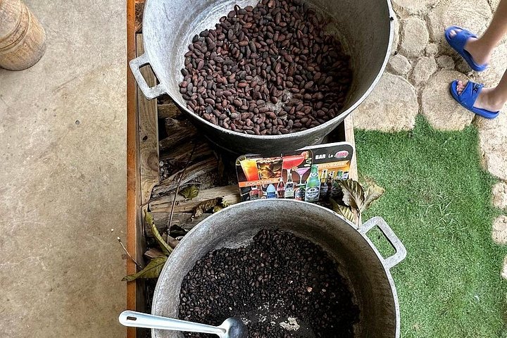 プンタカナでのATVアドベンチャー、洞窟スイム、マカオビーチを体験しましょう、写真7 | wizardtrip