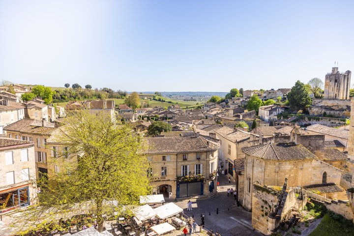 Tour de vinhos em pequeno grupo em Saint-Émilion, Bordéus, França, com vinhas e prova de vinhos, foto 6 | wizardtrip