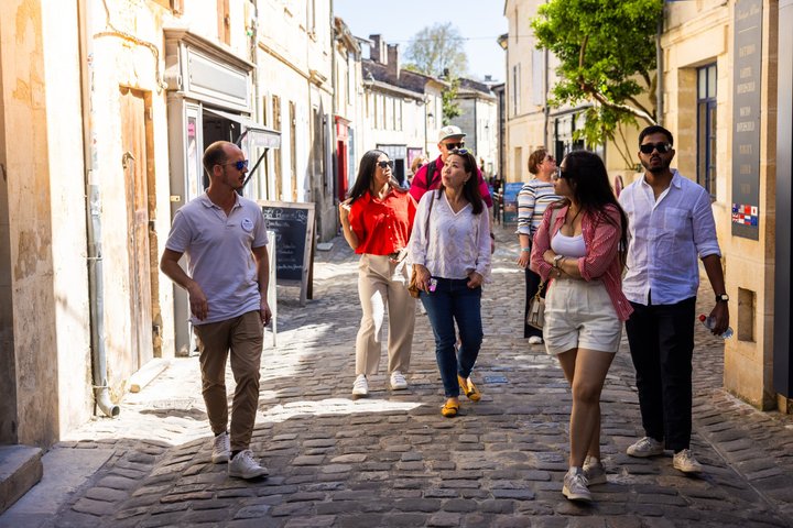 Tour de vinhos em pequeno grupo em Saint-Émilion, Bordéus, França, com vinhas e prova de vinhos, foto 7 | wizardtrip