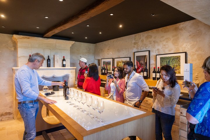 Tour de vinhos em pequeno grupo em Saint-Émilion, Bordéus, França, com vinhas e prova de vinhos, foto 9 | wizardtrip