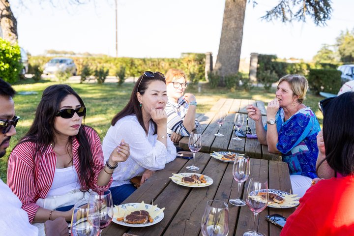 Tour de vinhos em pequeno grupo em Saint-Émilion, Bordéus, França, com vinhas e prova de vinhos, foto 10 | wizardtrip