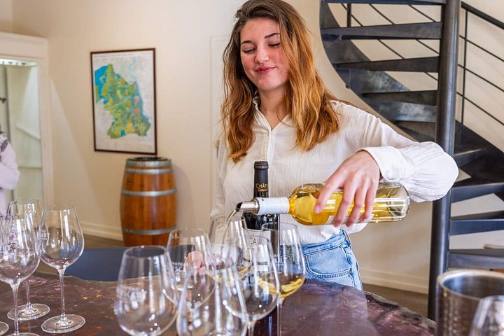 Bordeaux vinresa med vingårdsbesök, provsmakningar och gourmetpicknick, foto 6 | wizardtrip
