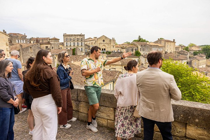 Bordeaux vinresa med vingårdsbesök, provsmakningar och gourmetpicknick, foto 7 | wizardtrip