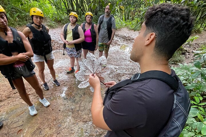 Liten gruppe som utforsker El Yunque regnskog med naturlige vannsklier og frodig vegetasjon, foto 10 | wizardtrip