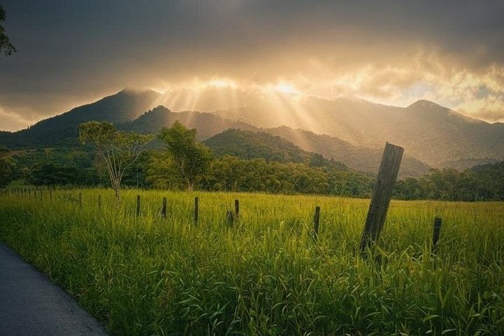Liten gruppe som utforsker El Yunque regnskog med naturlige vannsklier og frodig vegetasjon, foto 20 | wizardtrip