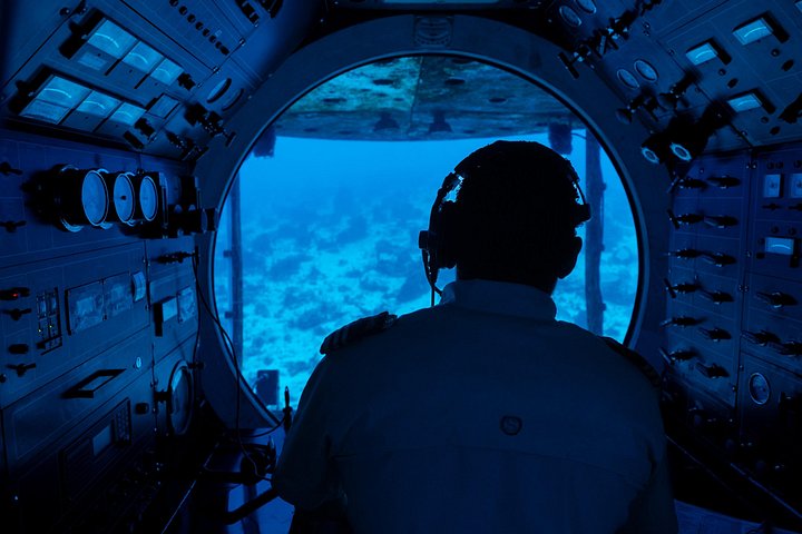 Vive un viaje submarino en un submarino real explorando los vibrantes arrecifes y la vida marina de Cozumel, foto 13 | wizardtrip