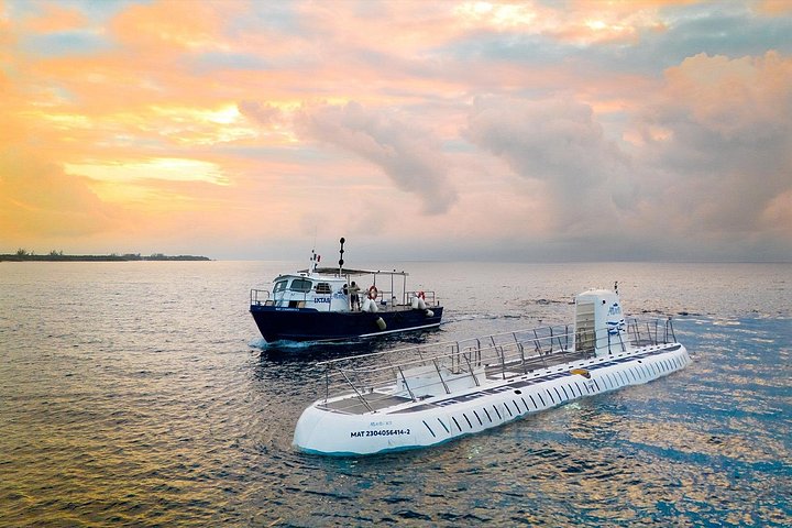 Vive un viaje submarino en un submarino real explorando los vibrantes arrecifes y la vida marina de Cozumel, foto 22 | wizardtrip