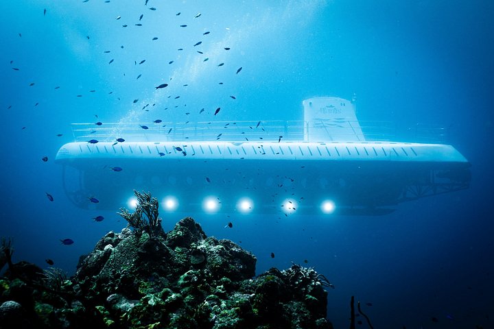 Vive un viaje submarino en un submarino real explorando los vibrantes arrecifes y la vida marina de Cozumel, foto 24 | wizardtrip