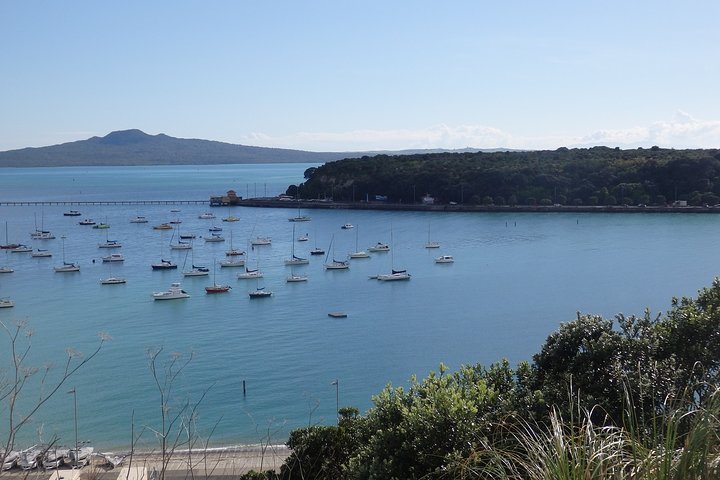Visite panoramique d'une journée des volcans, ports et régions viticoles d'Auckland, photo 6 | wizardtrip