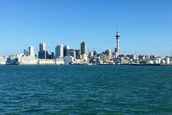 Visite panoramique d'une journée des volcans, ports et régions viticoles d'Auckland, photo 9 | wizardtrip