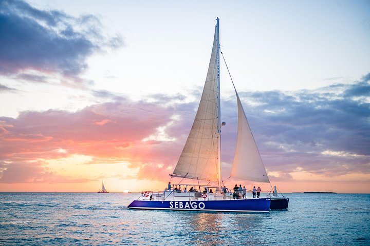 Genießen Sie eine luxuriöse Sonnenuntergangsfahrt in Key West, beobachten Sie Delfine bei einem Glas Wein und genießen Sie Tapas, Foto 7 | wizardtrip