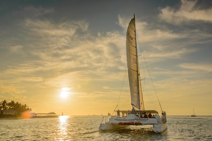 Genießen Sie eine luxuriöse Sonnenuntergangsfahrt in Key West, beobachten Sie Delfine bei einem Glas Wein und genießen Sie Tapas, Foto 9 | wizardtrip
