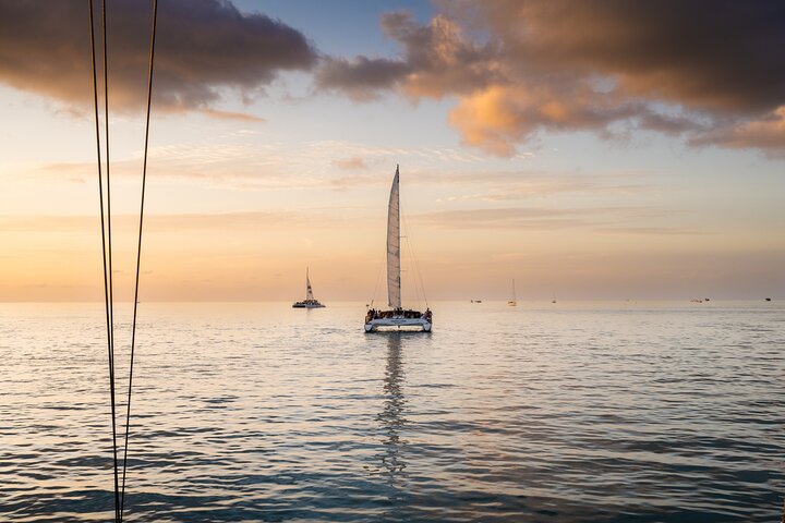 Genießen Sie eine luxuriöse Sonnenuntergangsfahrt in Key West, beobachten Sie Delfine bei einem Glas Wein und genießen Sie Tapas, Foto 15 | wizardtrip