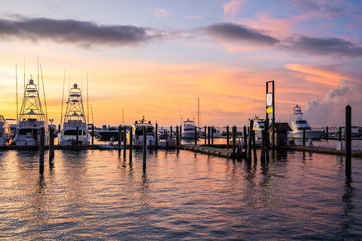 Genießen Sie eine luxuriöse Sonnenuntergangsfahrt in Key West, beobachten Sie Delfine bei einem Glas Wein und genießen Sie Tapas, Foto 17 | wizardtrip