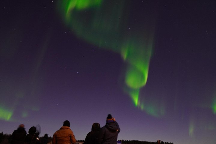 Kleingruppen-Nordlichter-Tour ab Reykjavik, Island, mit professioneller Fotografie und Wikinger-Requisiten, Foto 20 | wizardtrip