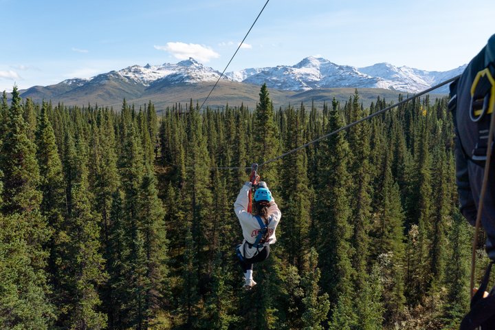Aventura en Tirolina por el Parque Denali: ¡El Tour de Tirolina Mejor Valorado de Denali! | wizardtrip