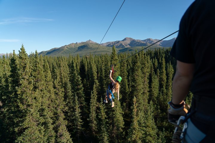 Ervaar een opwindend zipline-avontuur door het Alaskaanse boreale bos nabij Denali National Park, foto 6 | wizardtrip