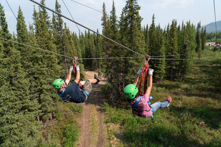 Ervaar een opwindend zipline-avontuur door het Alaskaanse boreale bos nabij Denali National Park, foto 7 | wizardtrip