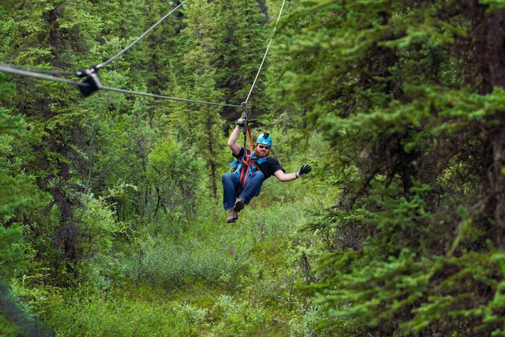 Ervaar een opwindend zipline-avontuur door het Alaskaanse boreale bos nabij Denali National Park, foto 8 | wizardtrip