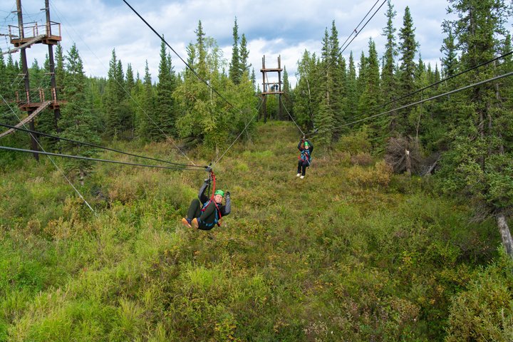 Ervaar een opwindend zipline-avontuur door het Alaskaanse boreale bos nabij Denali National Park, foto 10 | wizardtrip