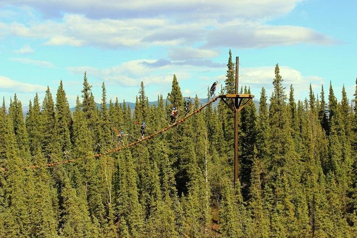 Ervaar een opwindend zipline-avontuur door het Alaskaanse boreale bos nabij Denali National Park, foto 11 | wizardtrip
