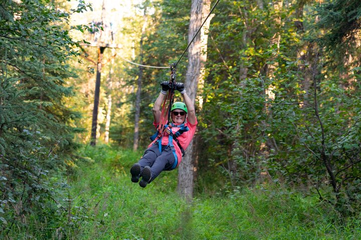 Ervaar een opwindend zipline-avontuur door het Alaskaanse boreale bos nabij Denali National Park, foto 12 | wizardtrip