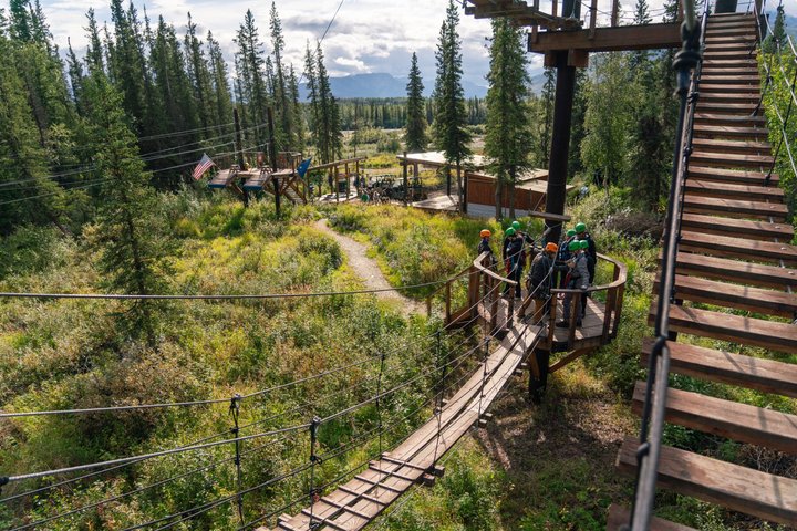 Ervaar een opwindend zipline-avontuur door het Alaskaanse boreale bos nabij Denali National Park, foto 14 | wizardtrip