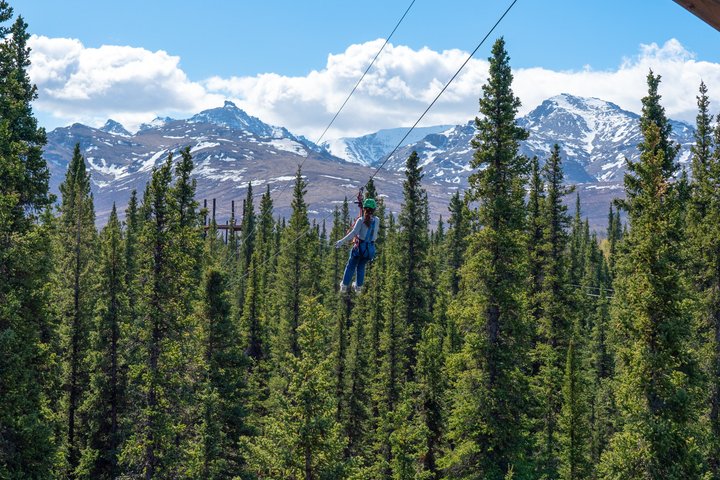 Ervaar een opwindend zipline-avontuur door het Alaskaanse boreale bos nabij Denali National Park, foto 19 | wizardtrip